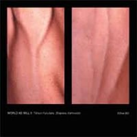 Tetsuo Furudate, Zbigniew Karkowski "WORLD AS WILL II" CD