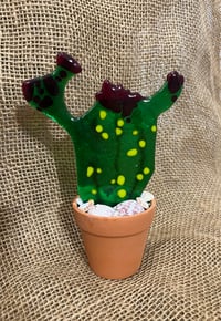 Image 2 of Cactus
