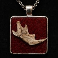 Image 2 of  Jaw Ossuary Pendant