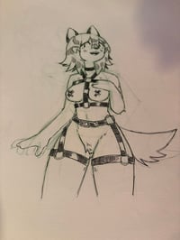 Image 1 of Dog Leather Original