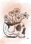 Skull & flowers