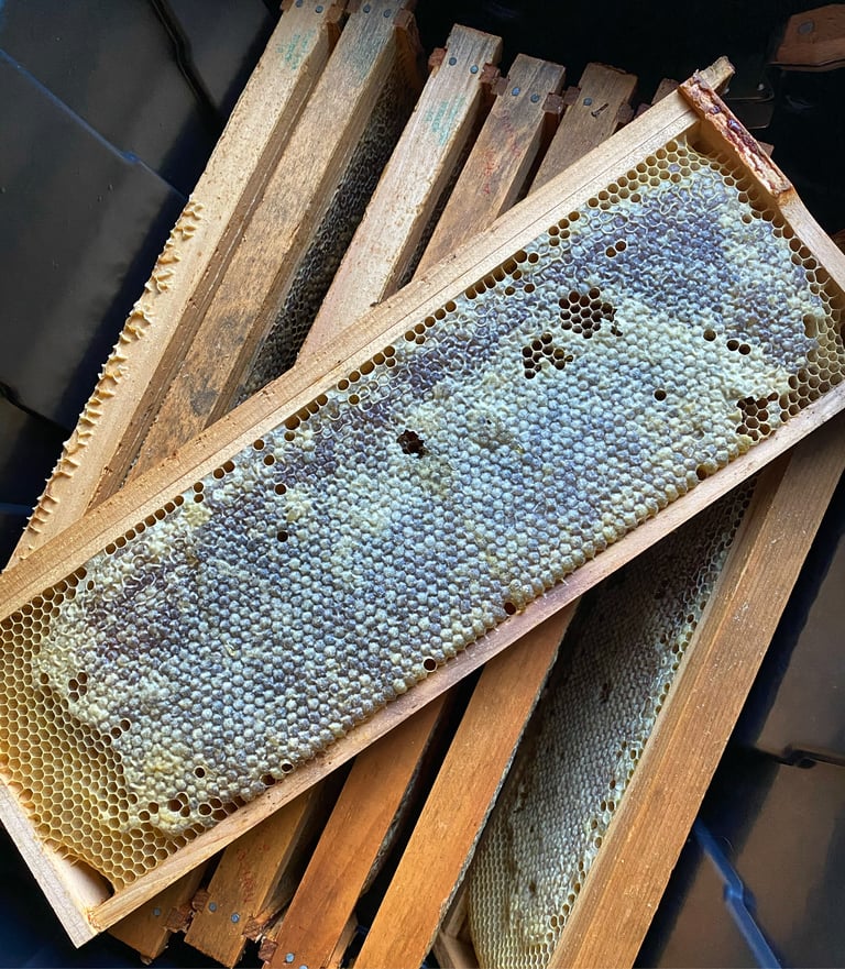 Local Raw Honey Image 3