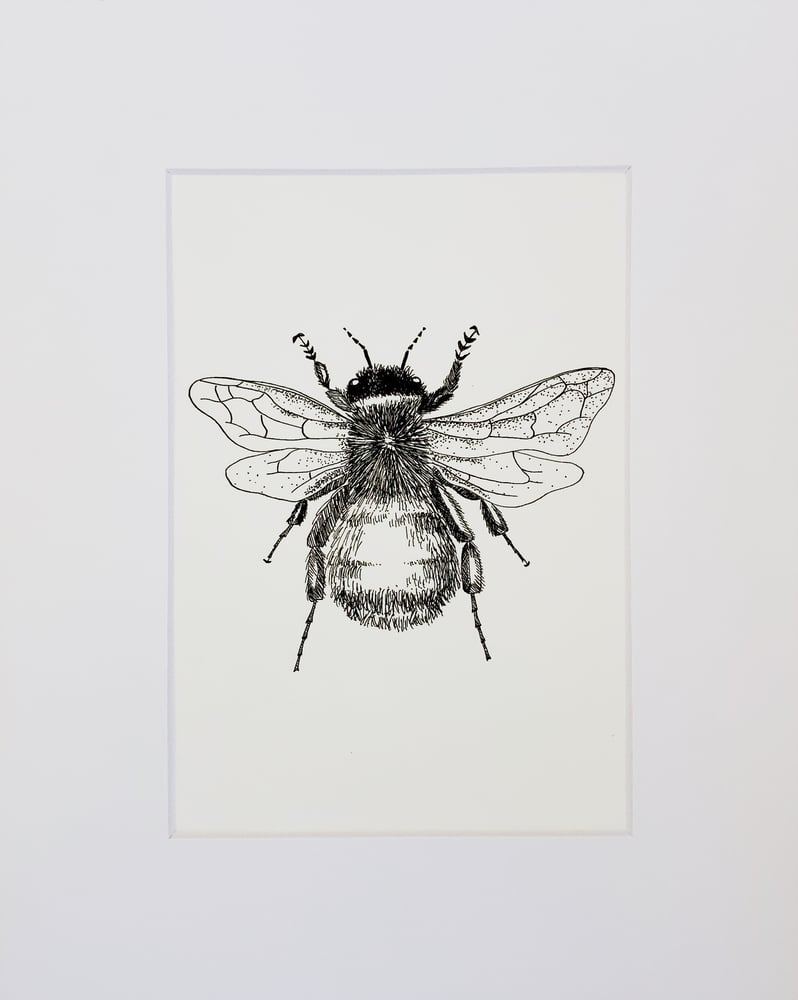 Image of Bumblebee Print