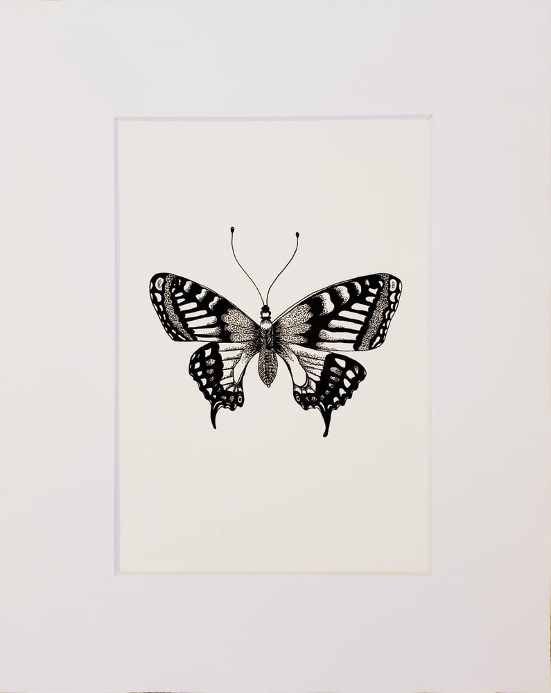 Image of Butterfly Print