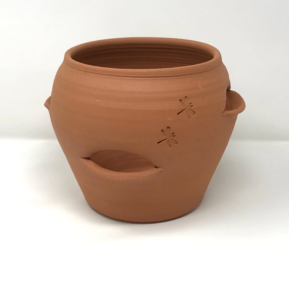 Image of Terricotta Pocket pots