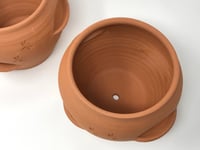 Image 4 of Terricotta Pocket pots