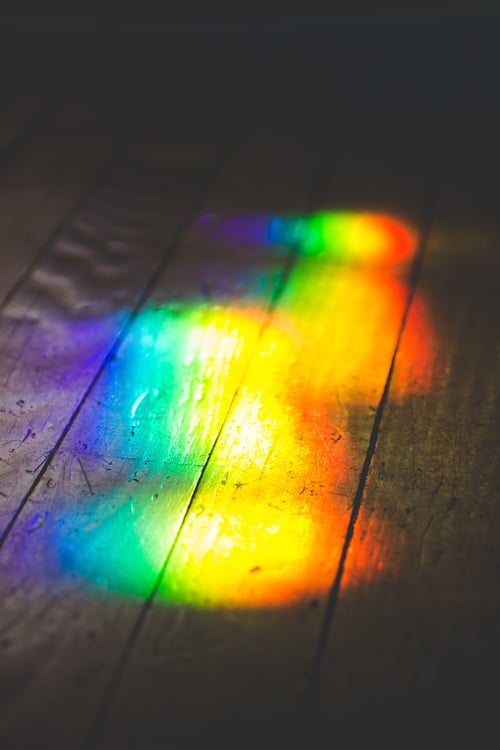 Image of Goldenrod (Solidago canadensis) - Suncatcher Prism #2