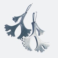 Image 1 of Silver Seaweed Earrings