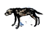 Image 4 of Le luci della centrale elettrica - Per ora noi la chiameremo felicità (CD)