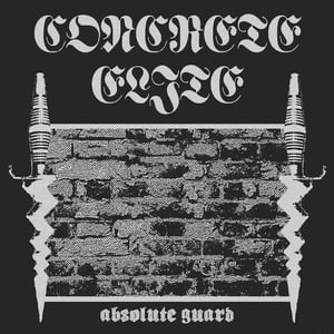 Image of Concrete Elite - Absolute Guard 12"LP (SILVER/BLACK SWIRL)