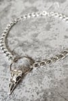 Dead Crow Choker