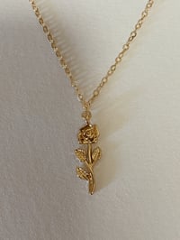 Image 1 of -;- rose -;-