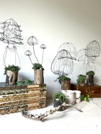 Image 2 of Wonderful Wire Mushroom Sculptures