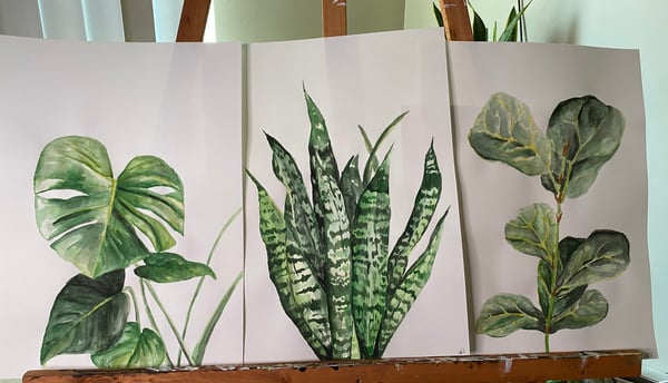 Image of Plant Paintings