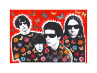 The Flowers of Evil are in Bloom!!!- The Velvet Underground