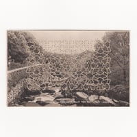 Image 1 of DEAR FRED, WISH WE COULD SEE MORE SUN