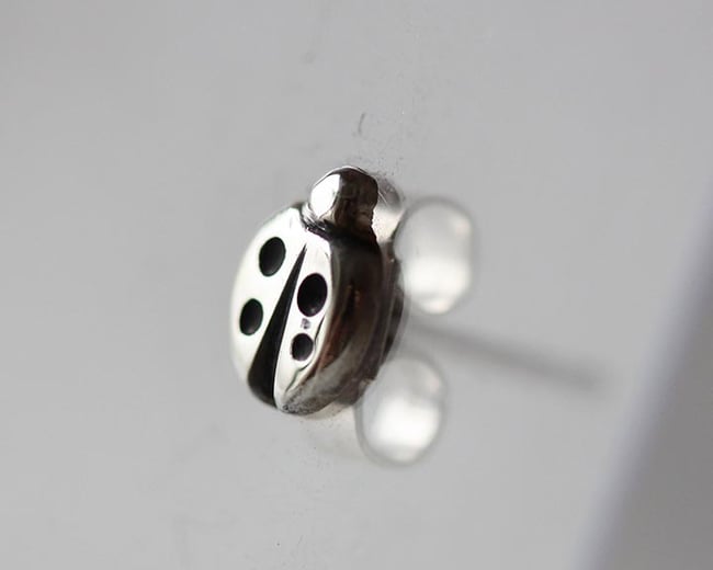 Ladybird studs