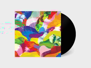 MSSV - Media Kittens / When The Hoarding Has Ended 7" (IMP013)