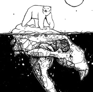 HOW LONG FOR POLAR BEAR ?