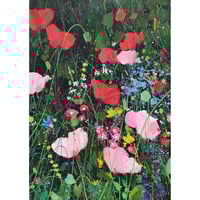 Poppy Garden 