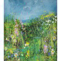 Wildflower Meadow