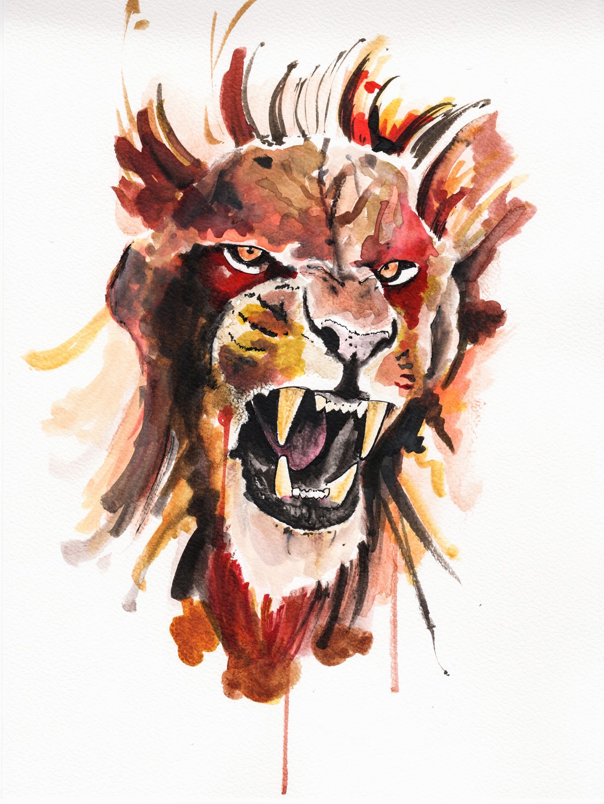 Lion fire colors
