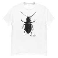 Beetle/classic tee