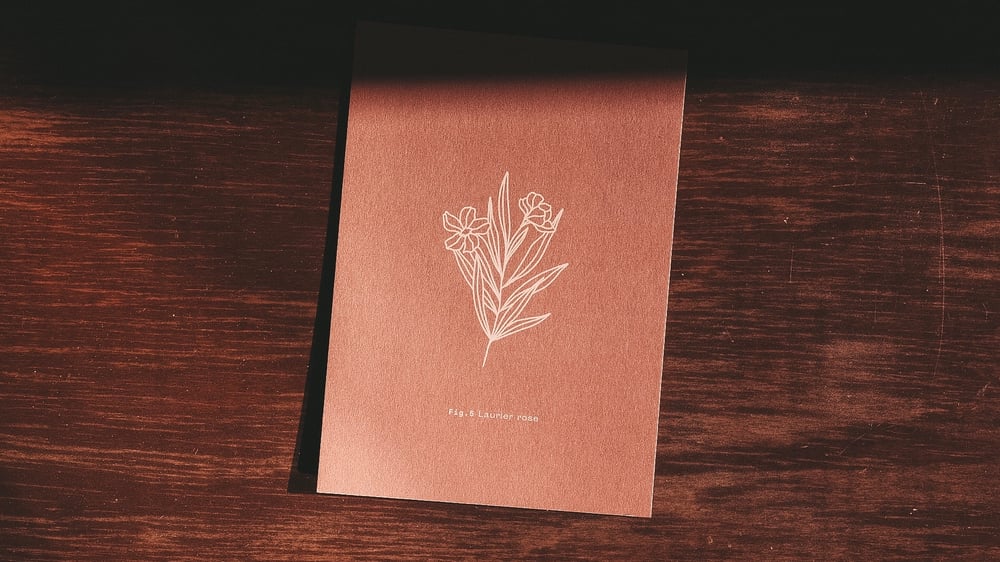 Image of Mediterranean botanic