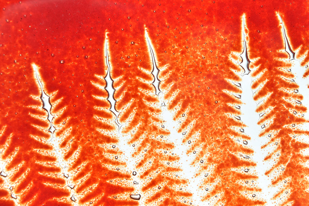 Image of Cherry Red Marching Ferns Glass Panel