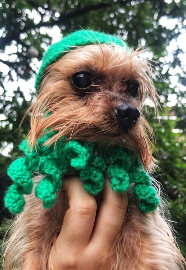 Image of The Cthulhu Snood