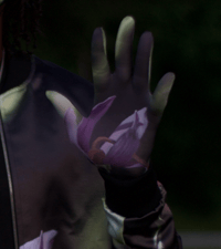 Image 2 of EROICA PAINTINGS SERIE A FASHION GLOVES