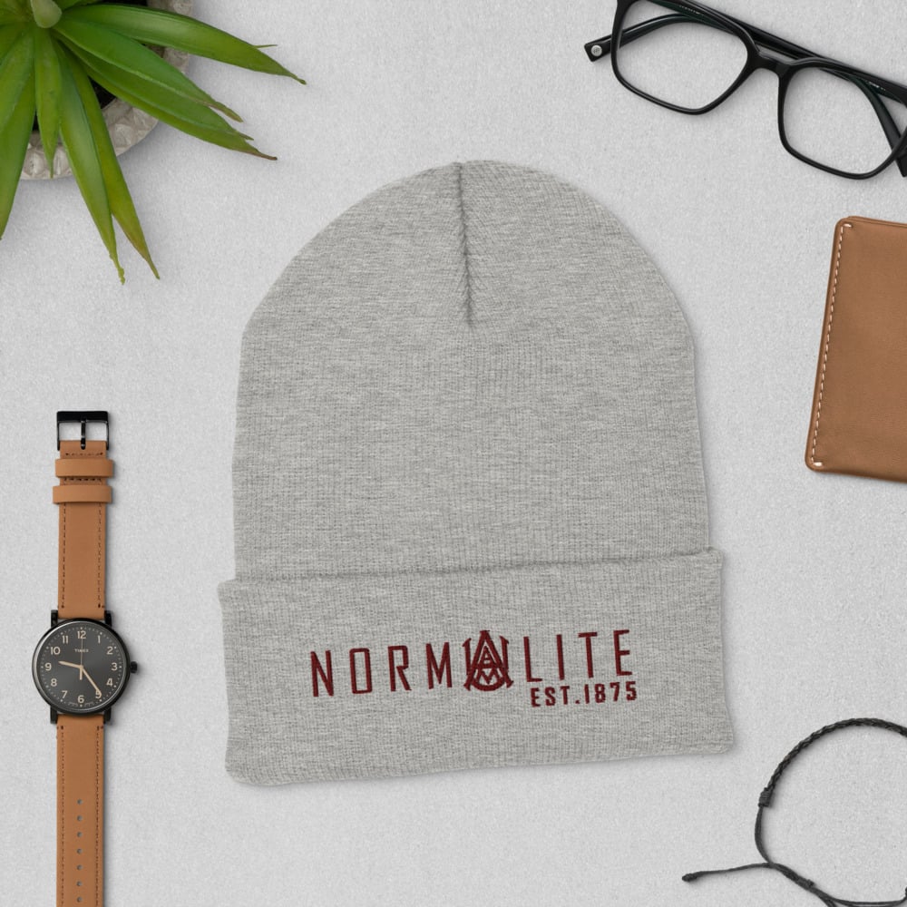 Image of NORMALITE 1875 Cuffed Beanie