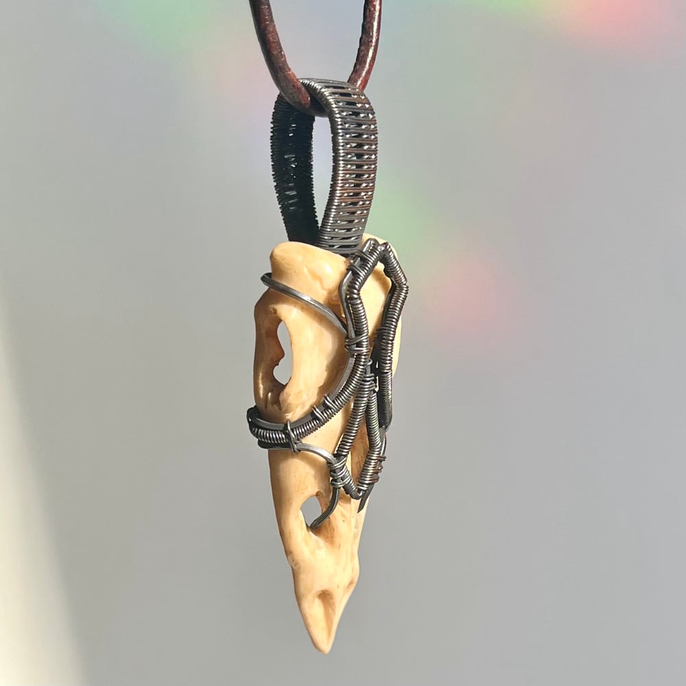 Image of Bone & Coil - Carved Skull Pendant