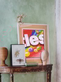 Image 3 of 'Sweet Dreams'  Framed