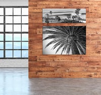 Image 2 of SC PIER LINES