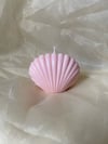 The Pink Bubblegum Shell