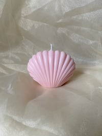 The Pink Bubblegum Shell