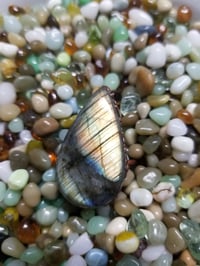 Image 1 of Electroformed Labradorite Ring size 8.5