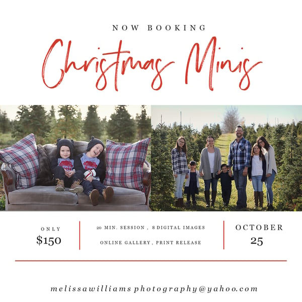 Image of Outdoor Christmas Minis at Tree Farm