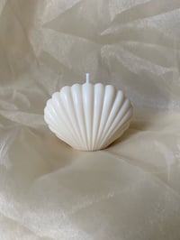 The Sandalwood & Vanilla Shell