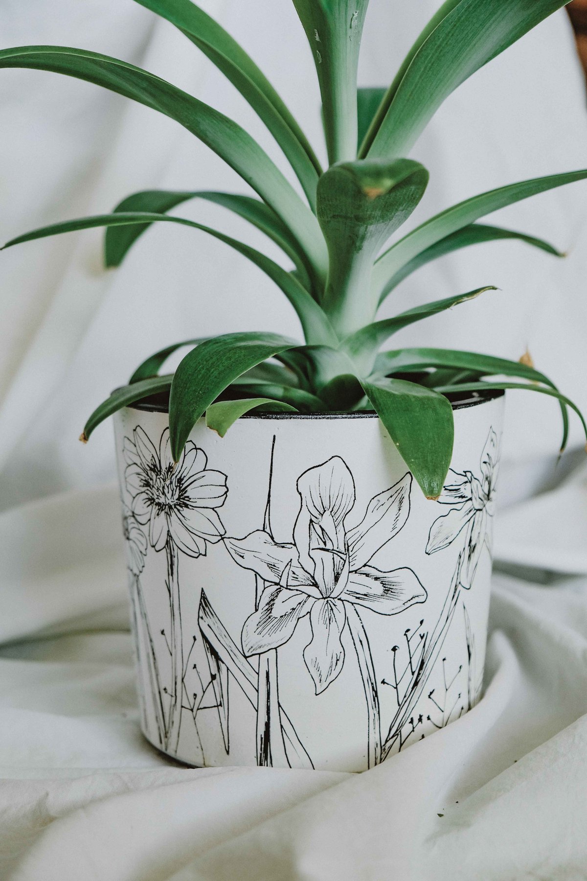 Image of POT FLORES 8