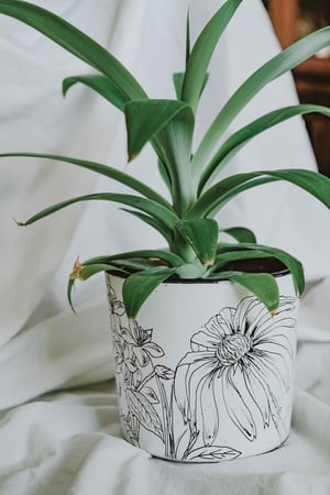 Image of POT FLORES 8