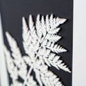 Framed Woodcut Fern Leaf