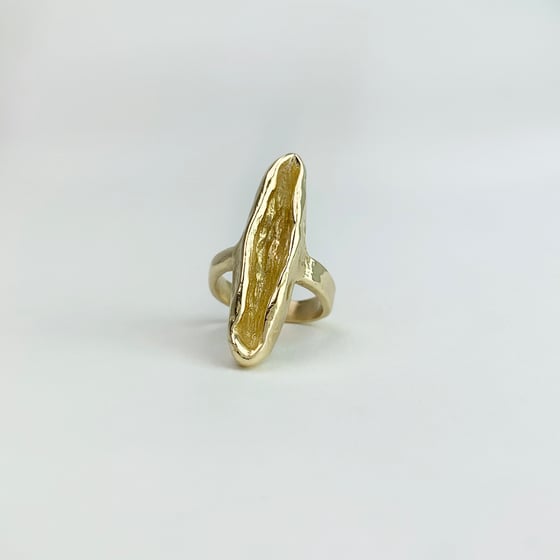 Image of Vessel Ring