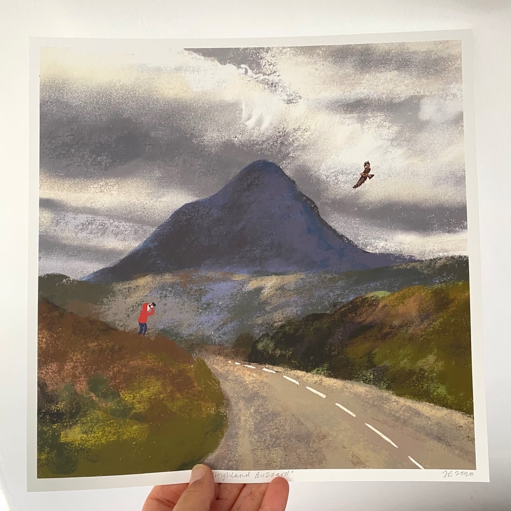 Image of ‘Highland Buzzard’ archive quality print