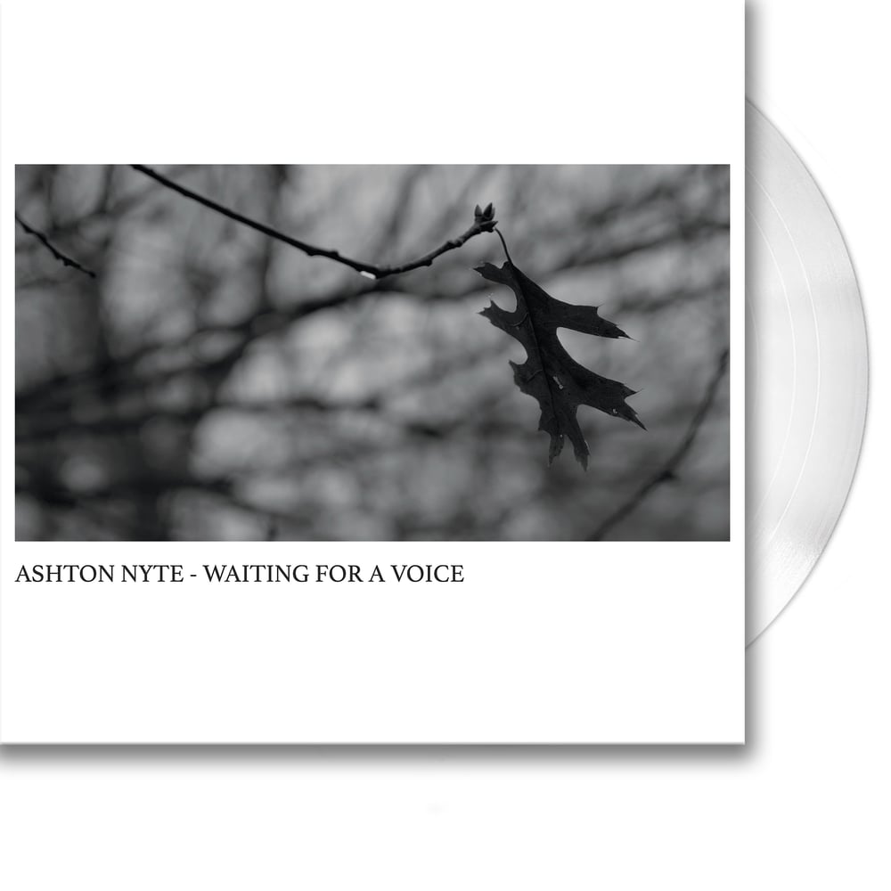 Image of Ashton Nyte - Waiting For A Voice (Vinyl)
