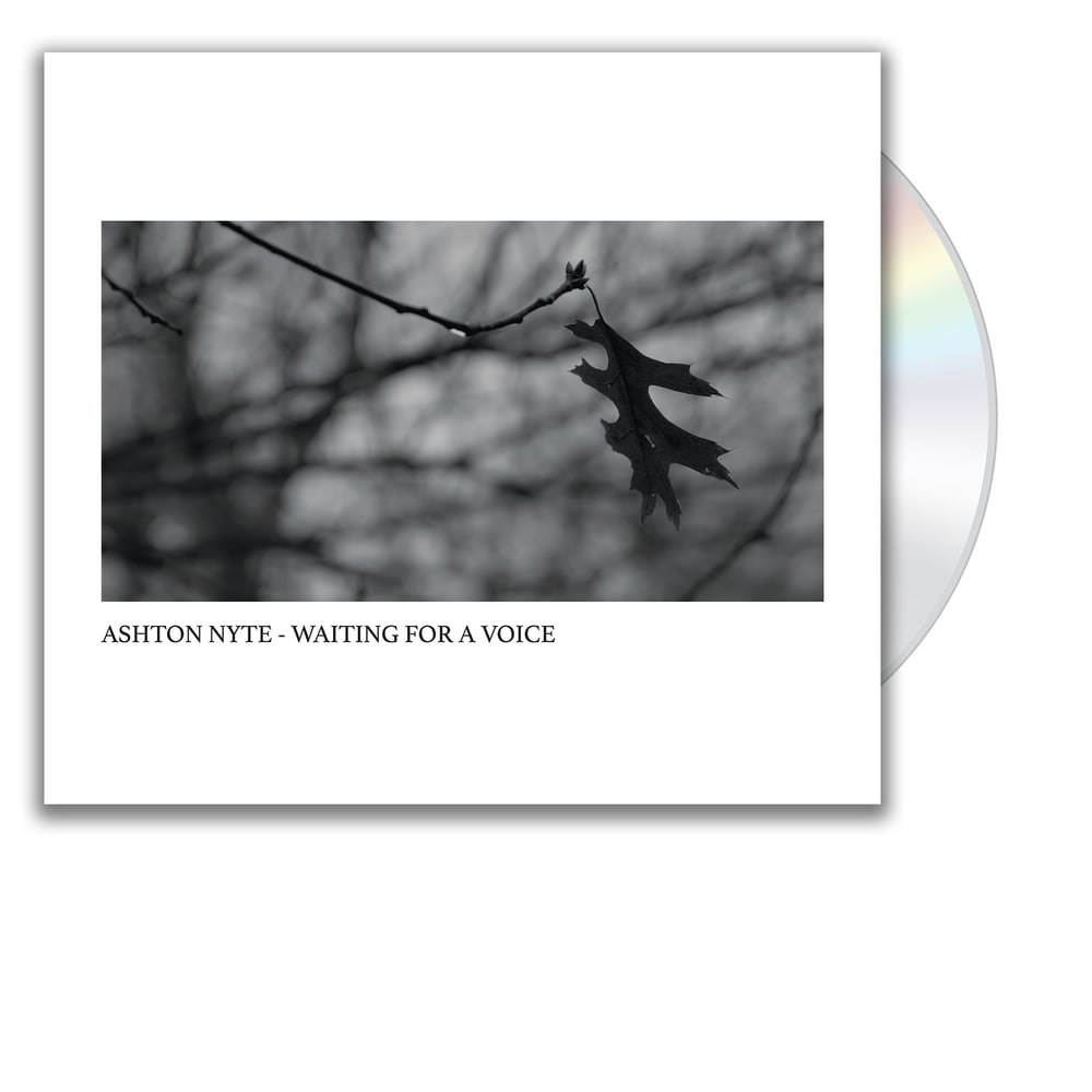Image of Ashton Nyte - Waiting For A Voice (CD)