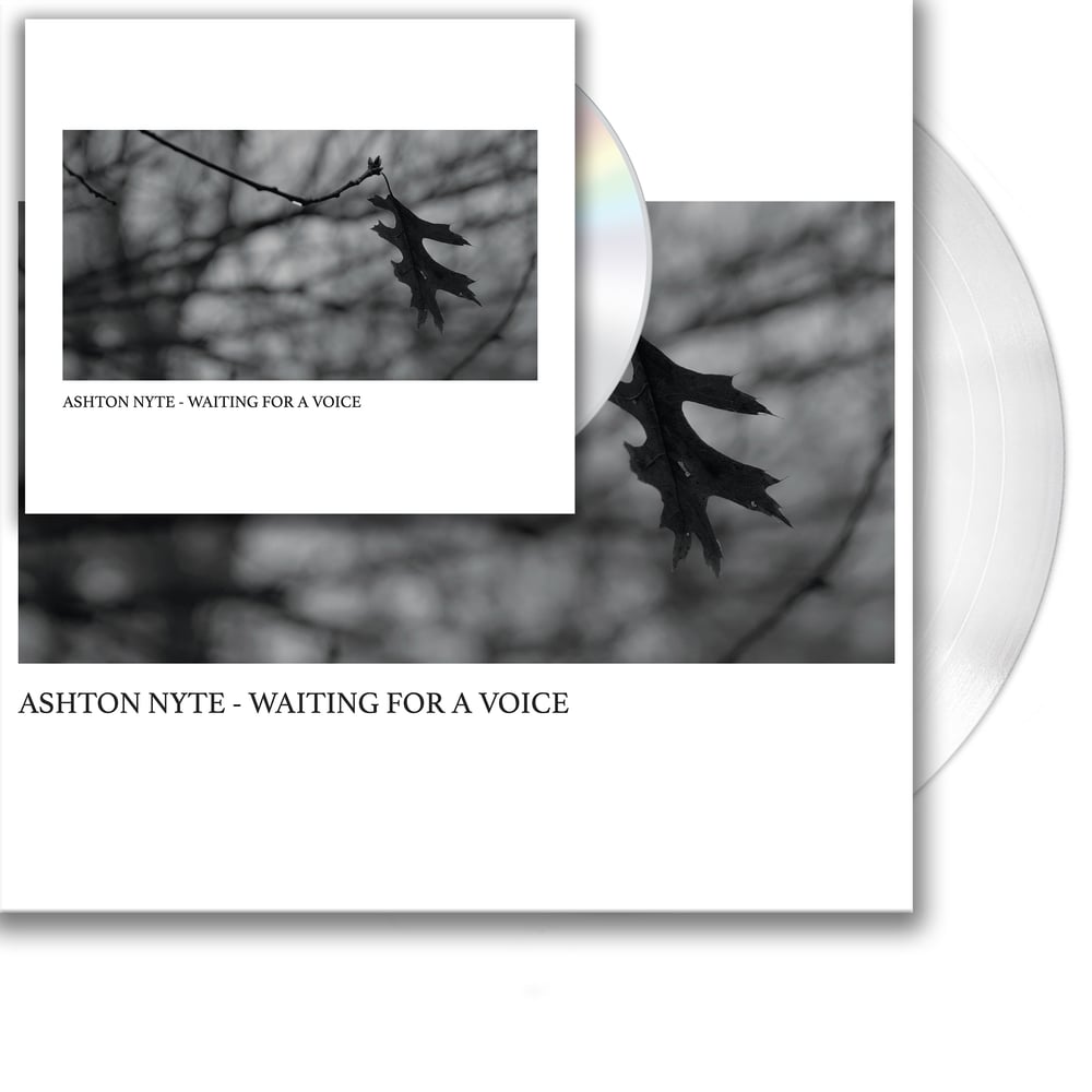 Image of Ashton Nyte - Waiting For A Voice (Vinyl + CD Bundle)