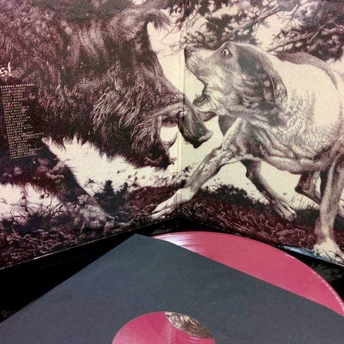 Latitudes 'Agonist' - Limited Edition Colored Vinyl