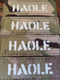 Multicam HAOLE laser cut 